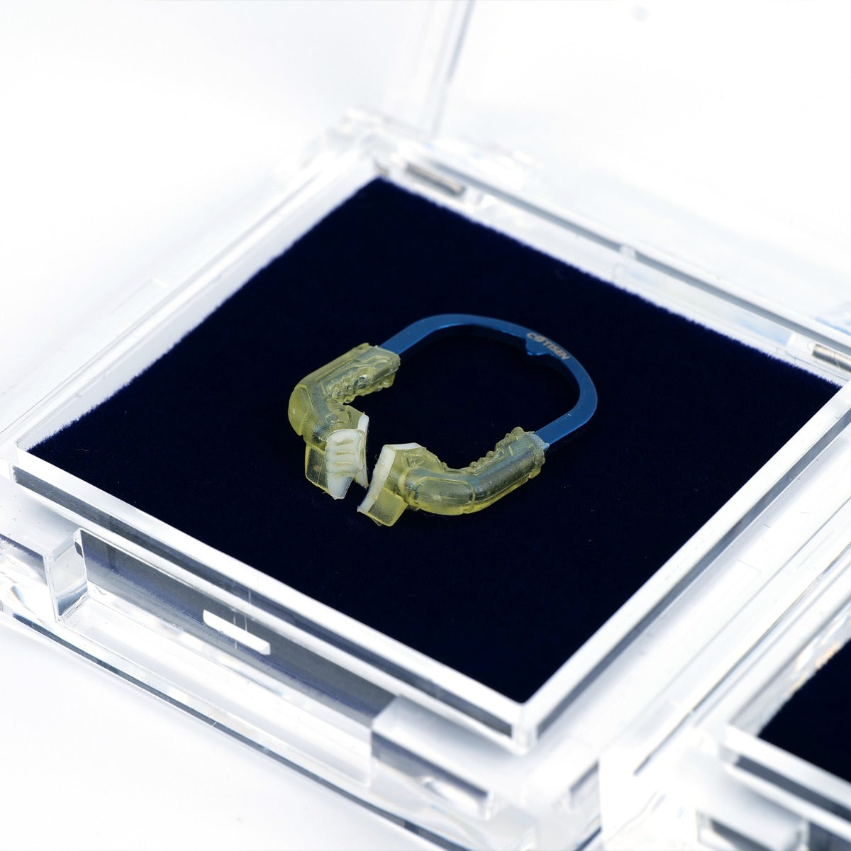 Dental Clamping Ring (Weak)