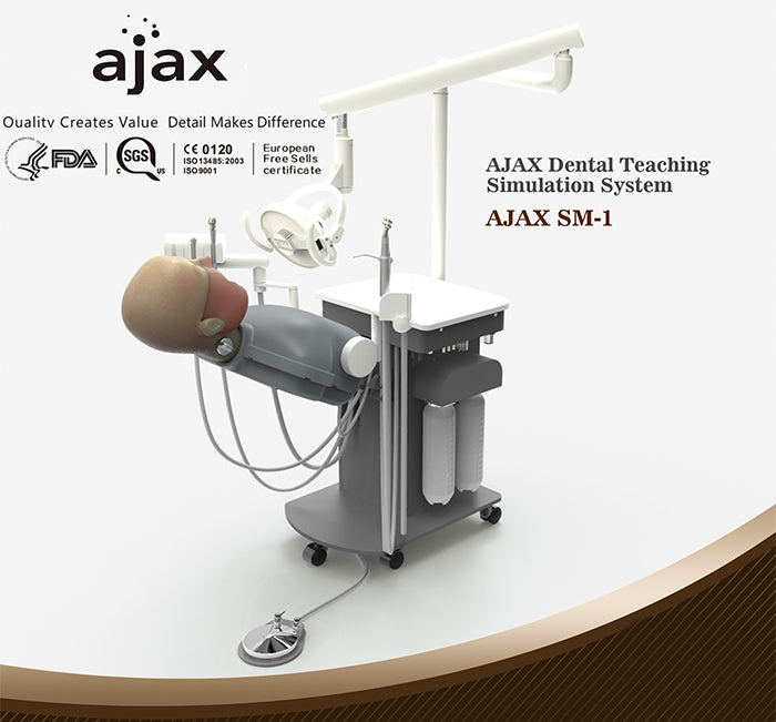 Ajax Phantom head teaching system