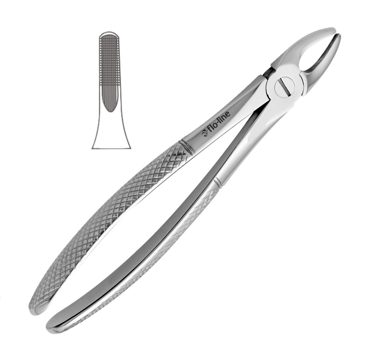 FLO-LINE Extraction forceps No.02 – Dental Warehouse Europe