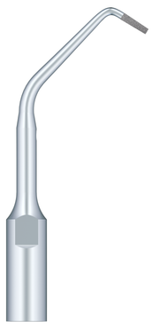 Used For Root Canal Retrogression Efficient Root Apical Polishing ED10D