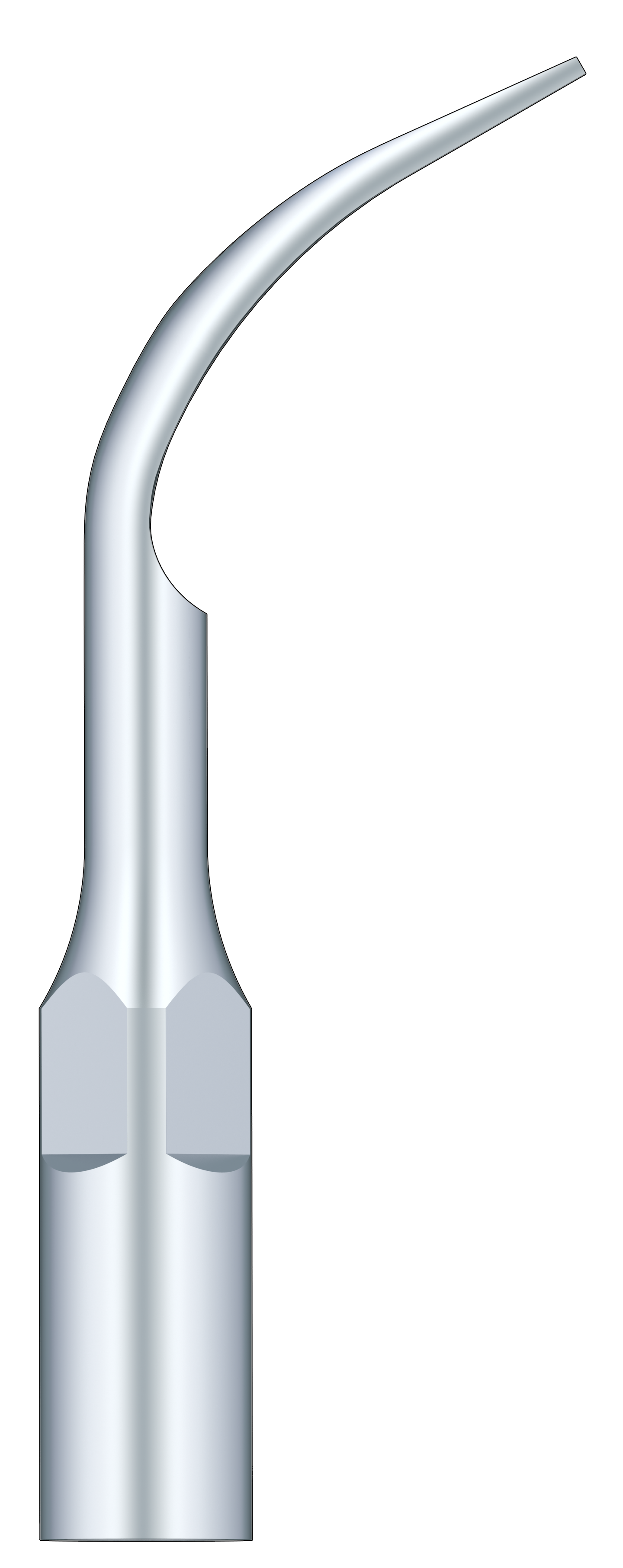 Supragingival Scaling G2