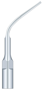 Supragingival Scaling G3