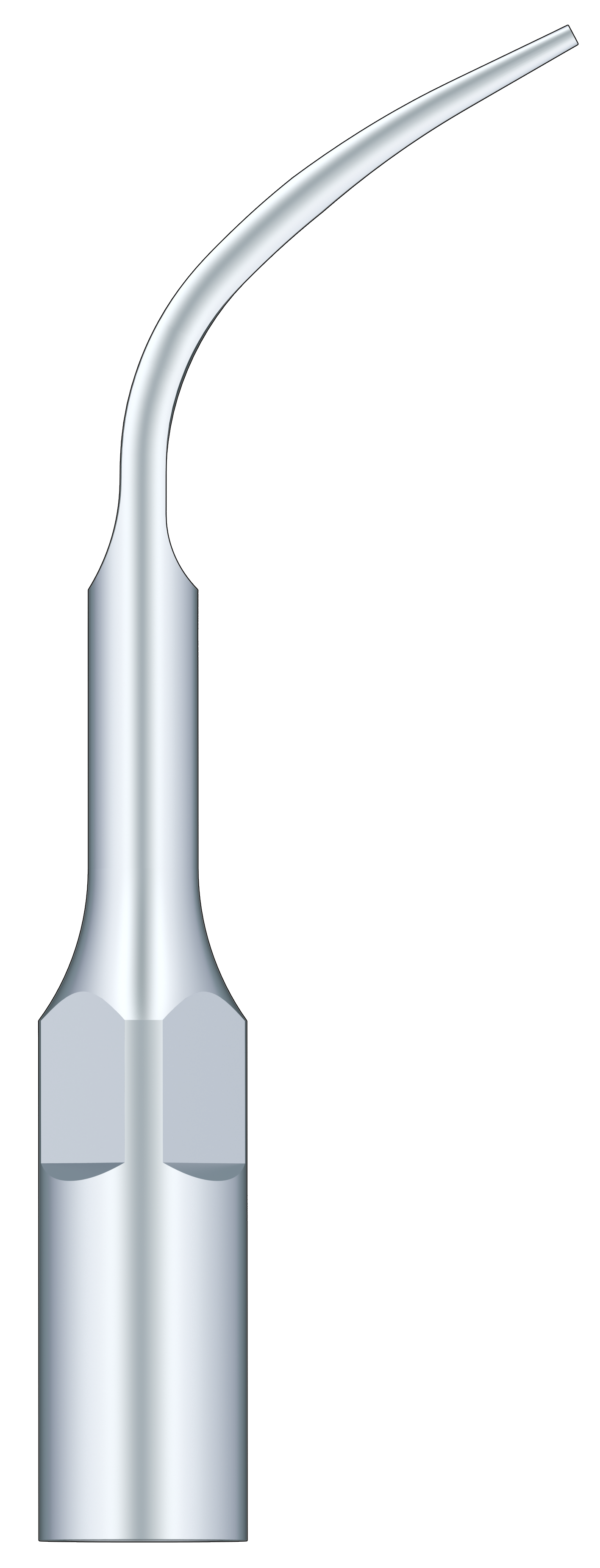 Supragingival Scaling G4