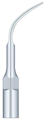 Supragingival Scaling G4
