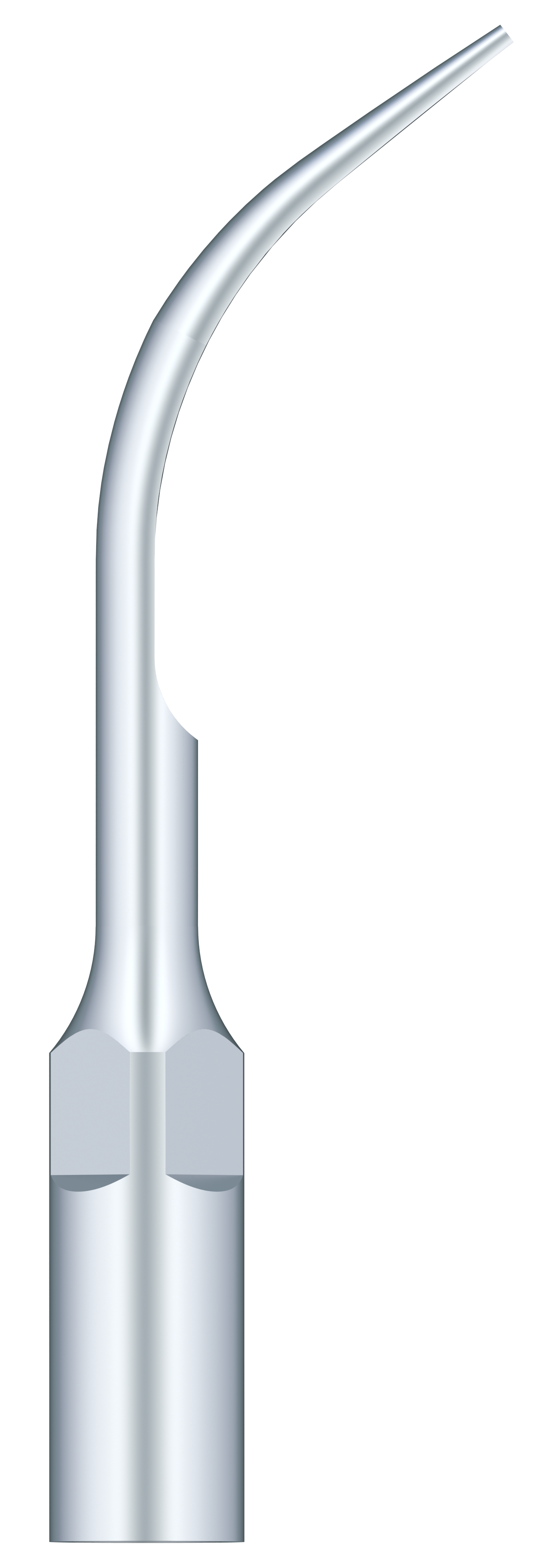 Supragingival Scaling G5