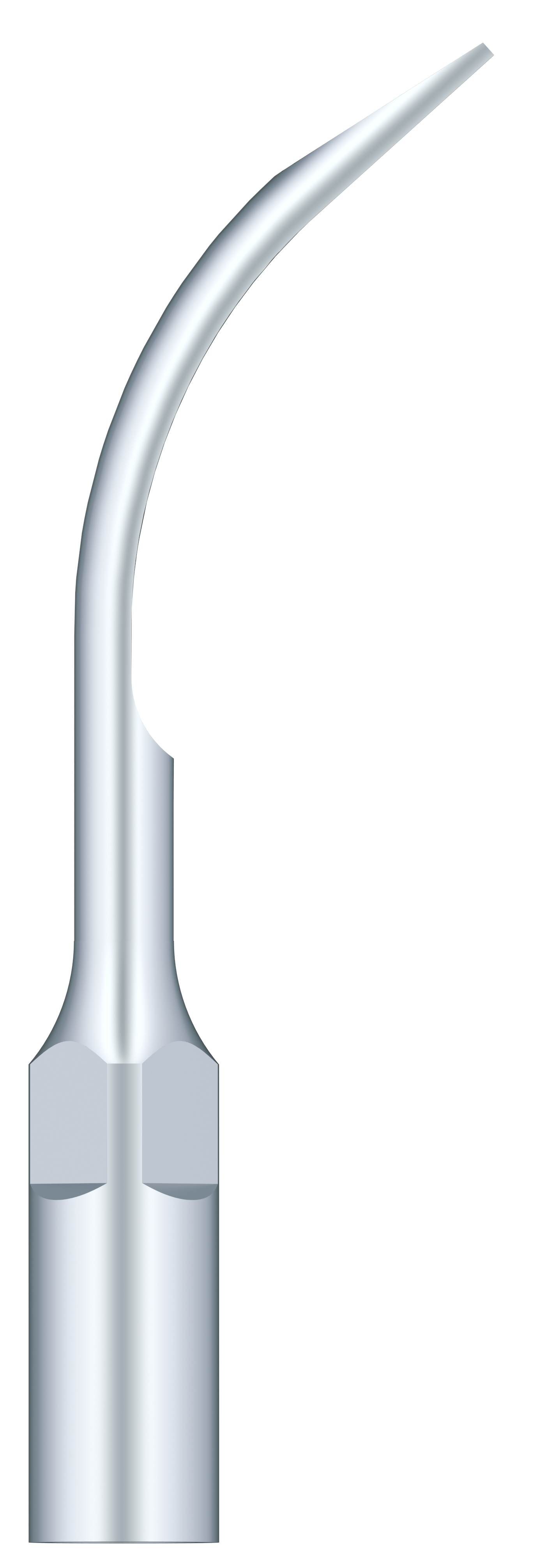 Supragingival Scaling G6