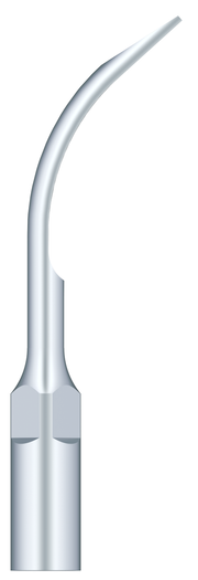 Supragingival Scaling G6