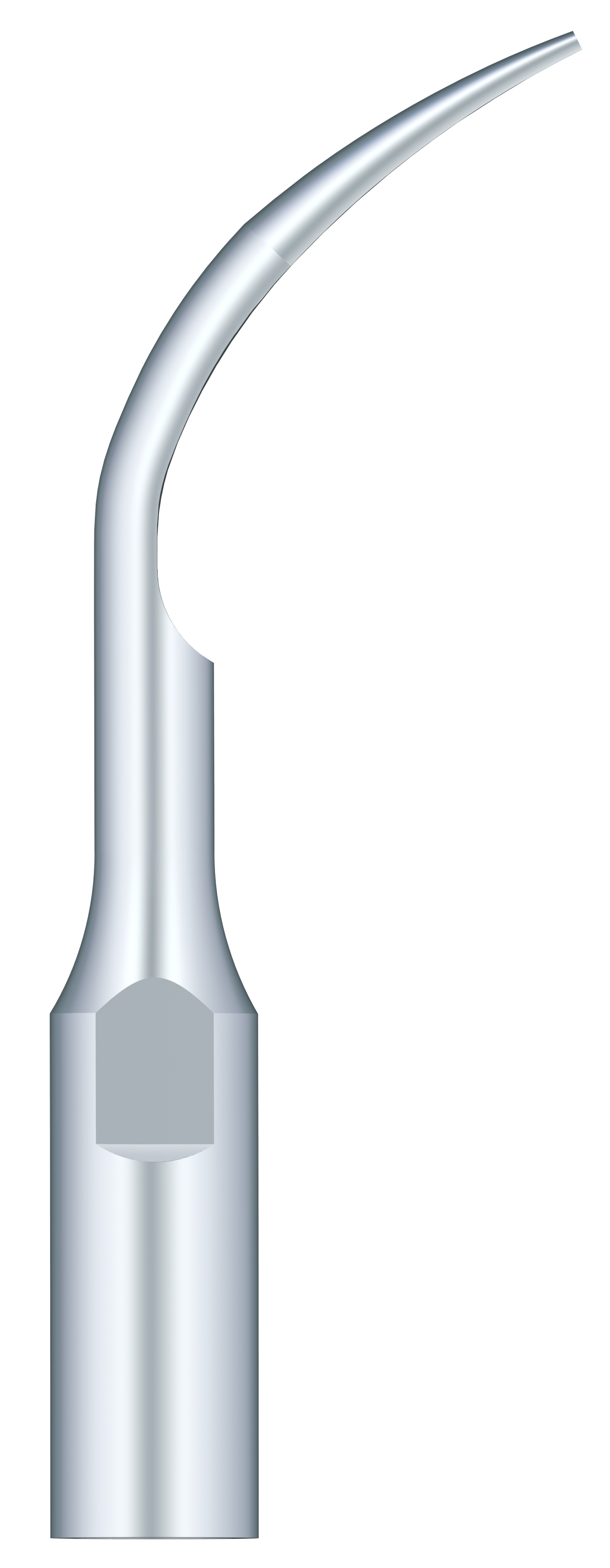 Supragingival Scaling GD1