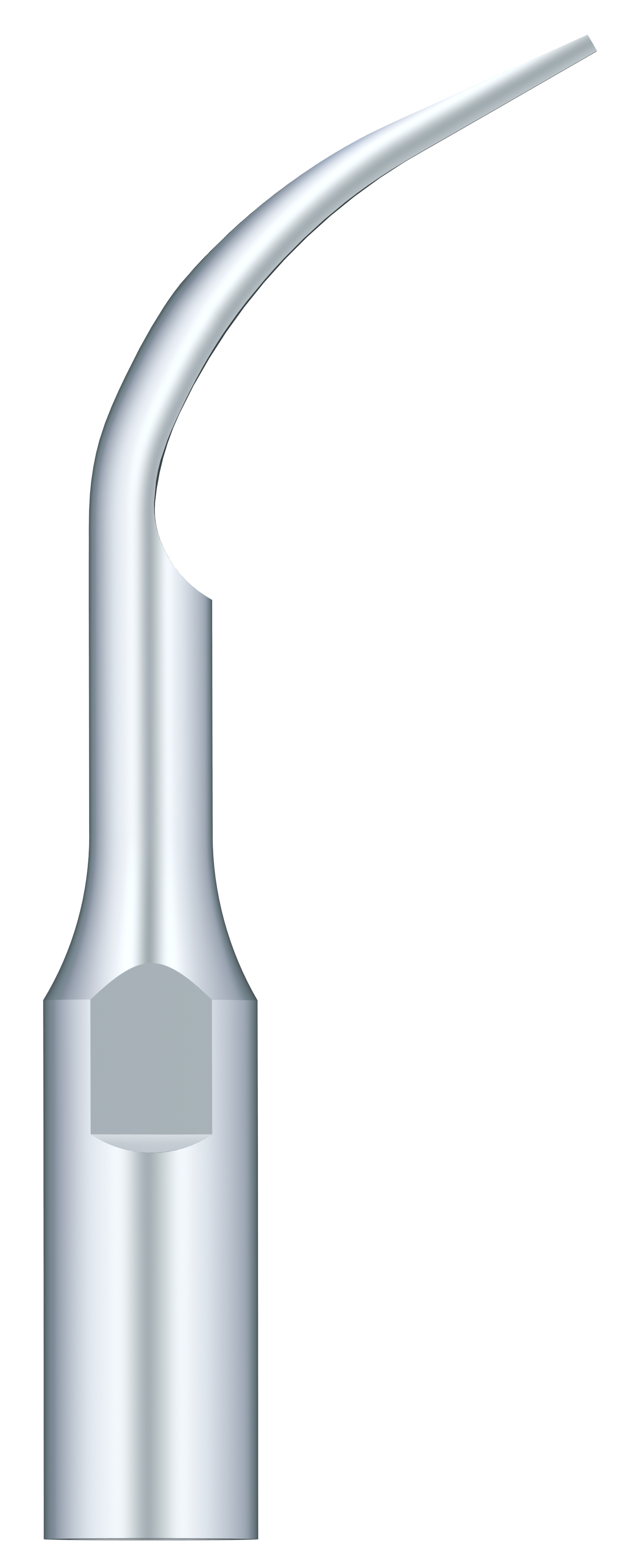 Supragingival Scaling GD2