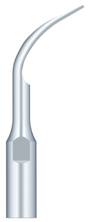 Supragingival Scaling GD2