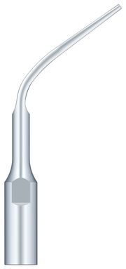 Supragingival Scaling GD3