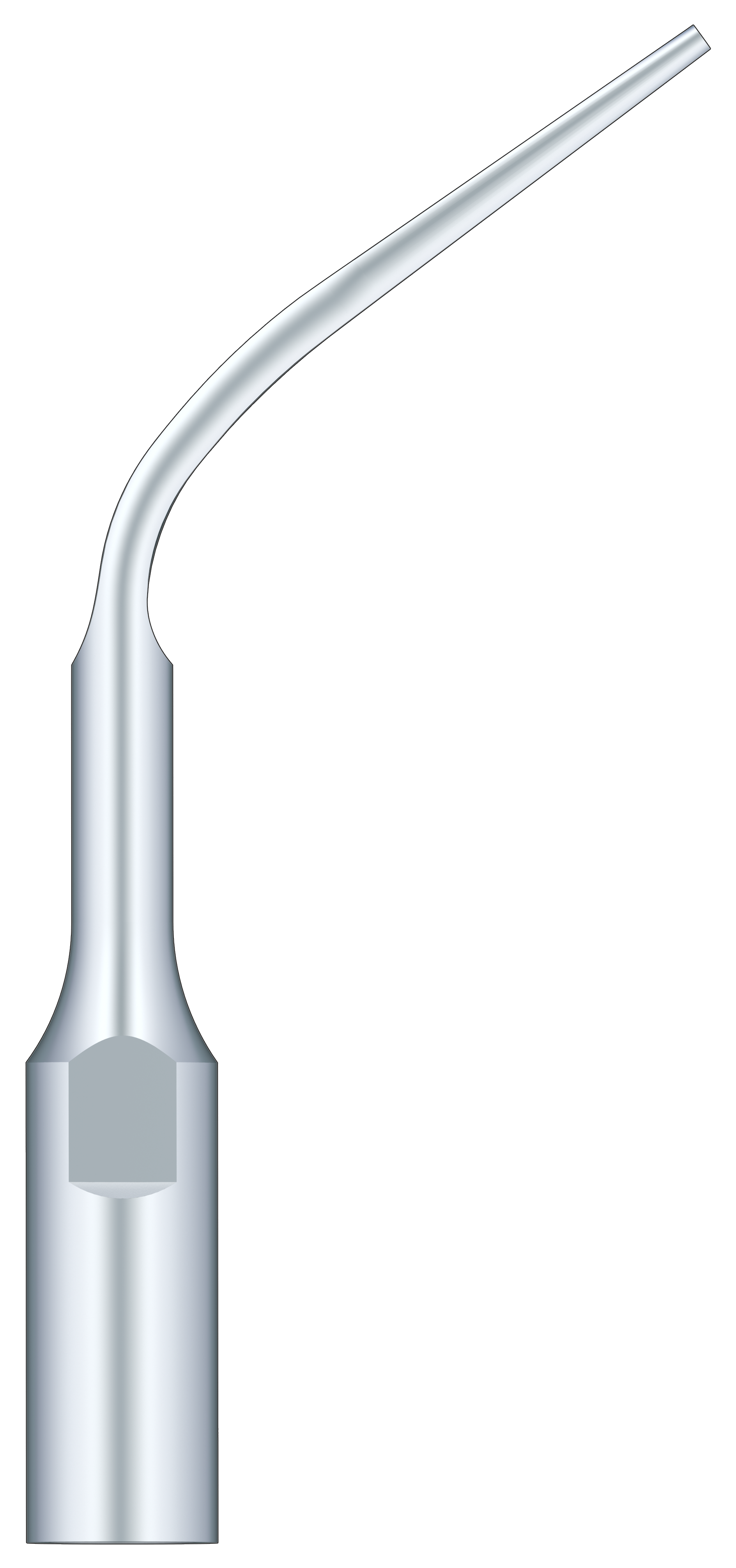 Supragingival Scaling GD3