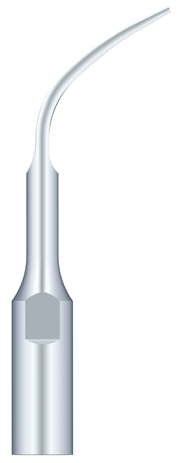 Supragingival & Subgingival Scaling GK4