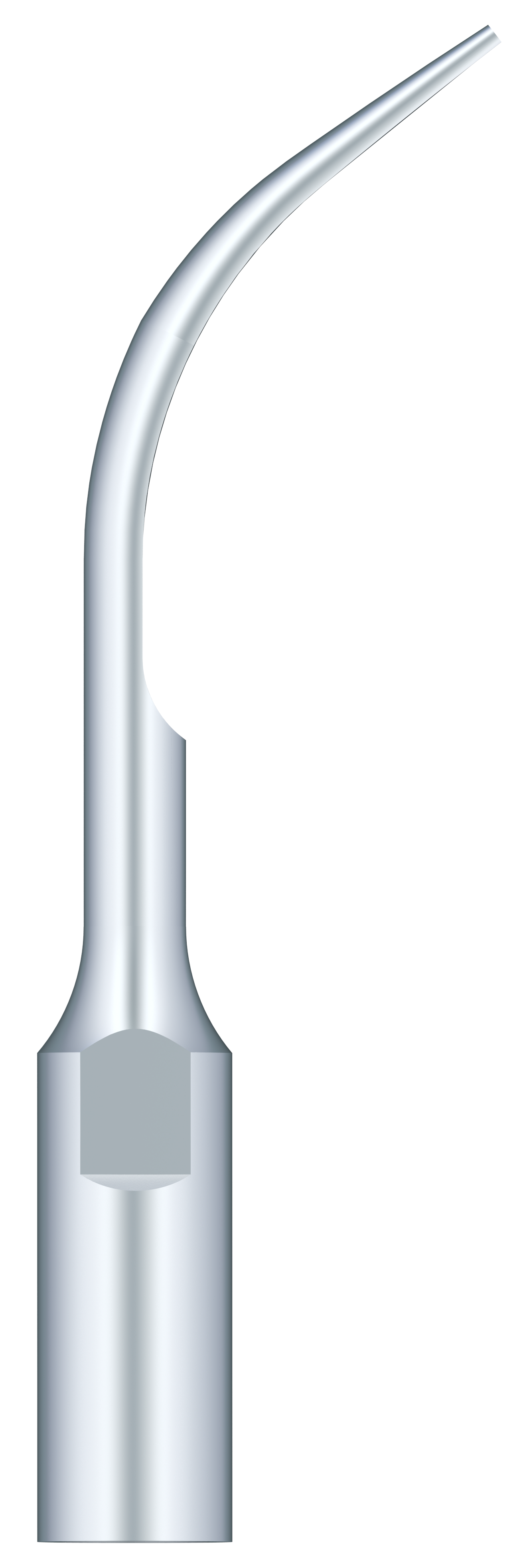 Supragingival Scaling GD5