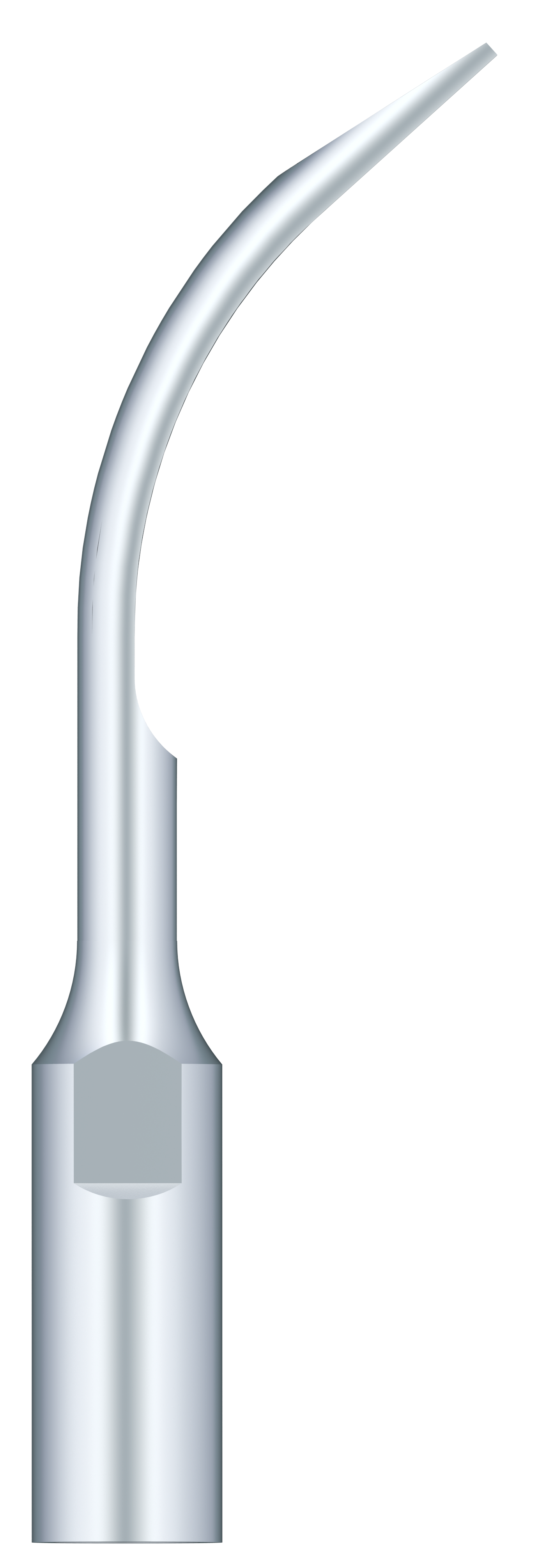 Supragingival Scaling GD6