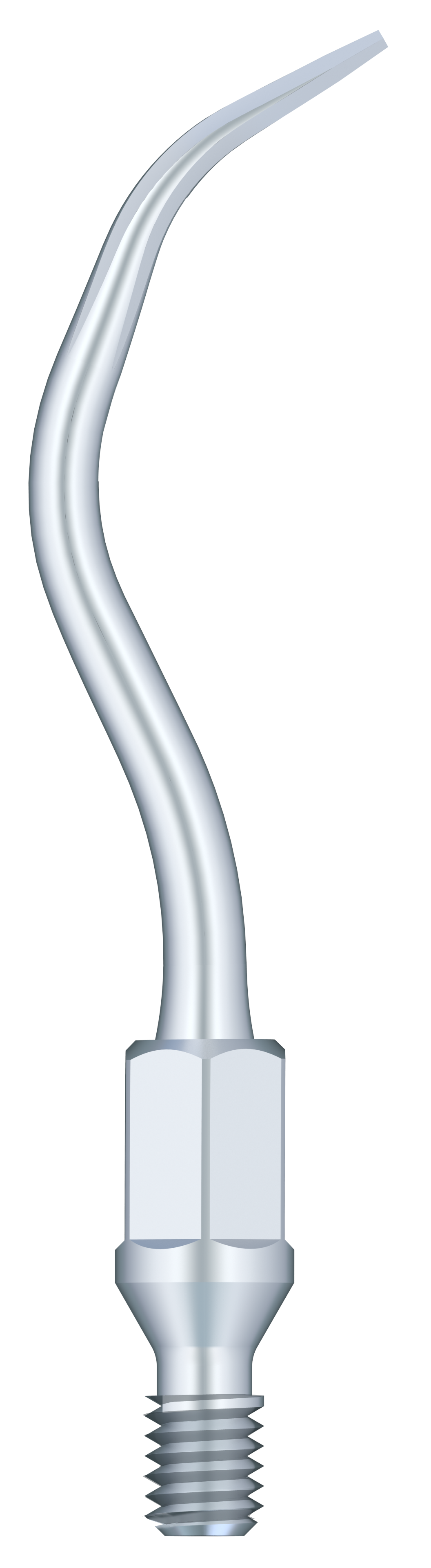 Supragingival & Subgingival Scaling GK1