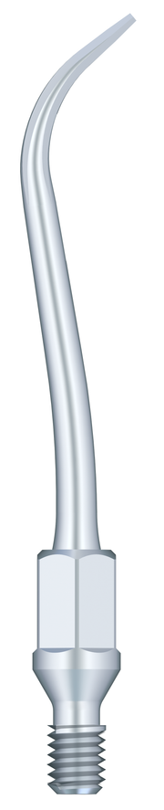 Supragingival & Subgingival Scaling GK2