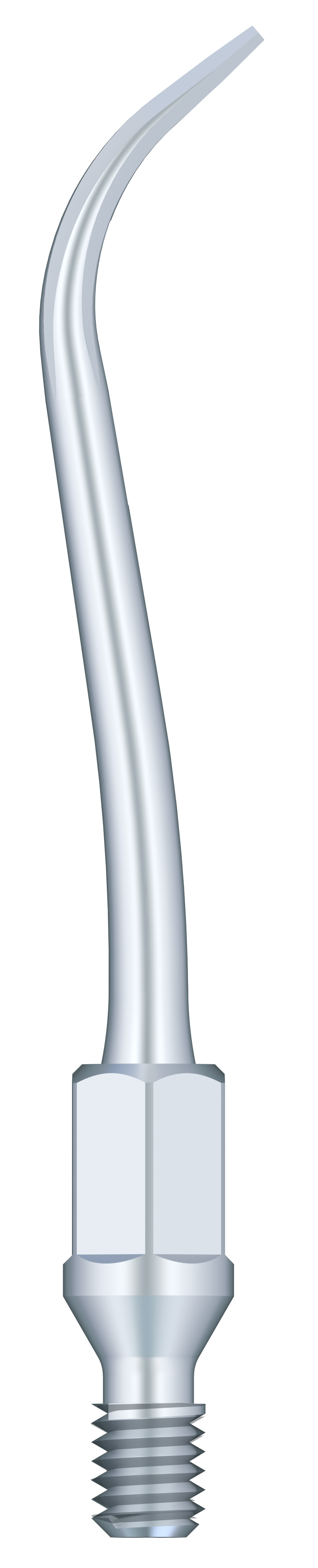 Supragingival & Subgingival Scaling GK2