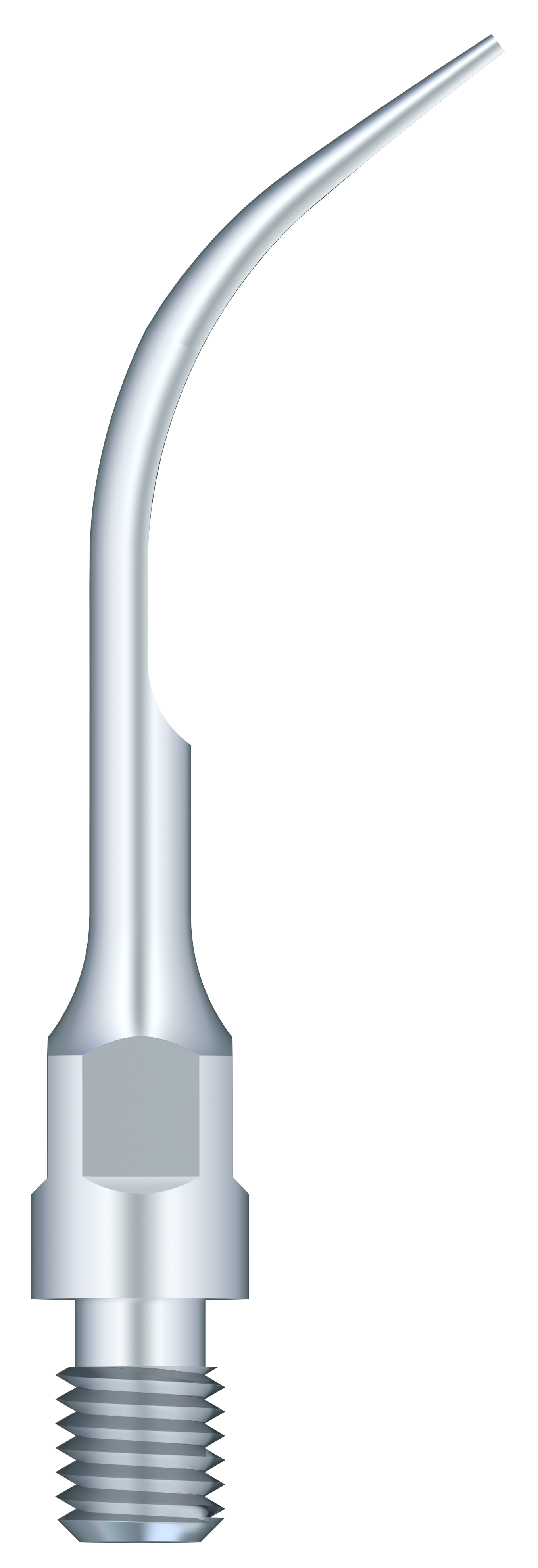 Supragingival Scaling GS5
