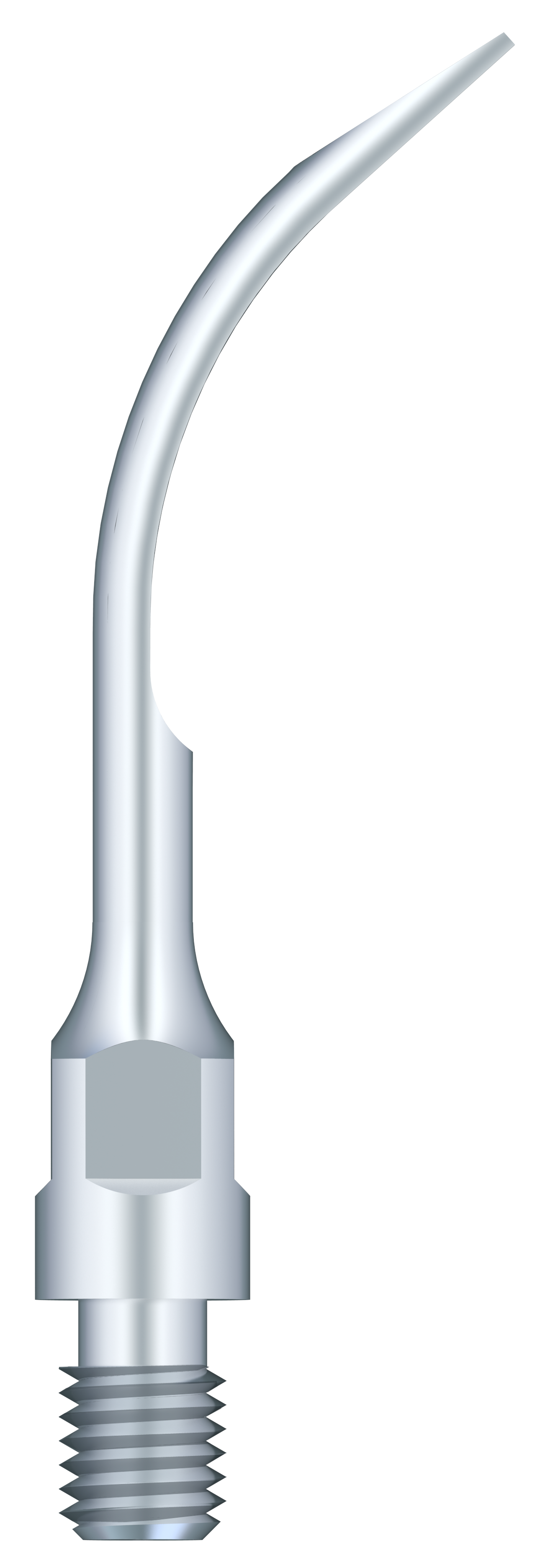 Supragingival Scaling GS6