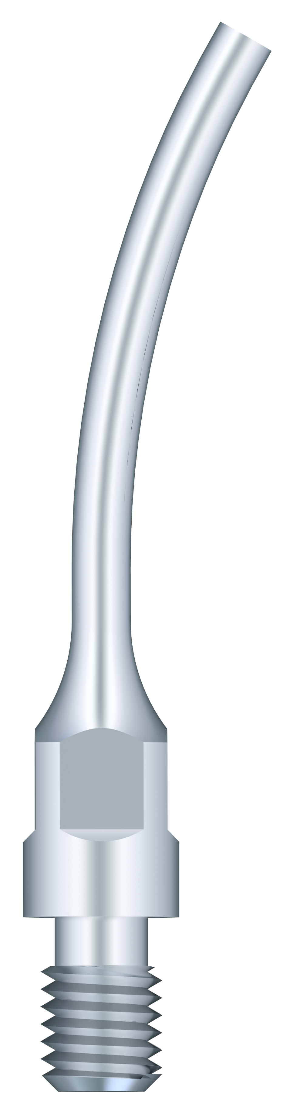 Supragingival Scaling GS7