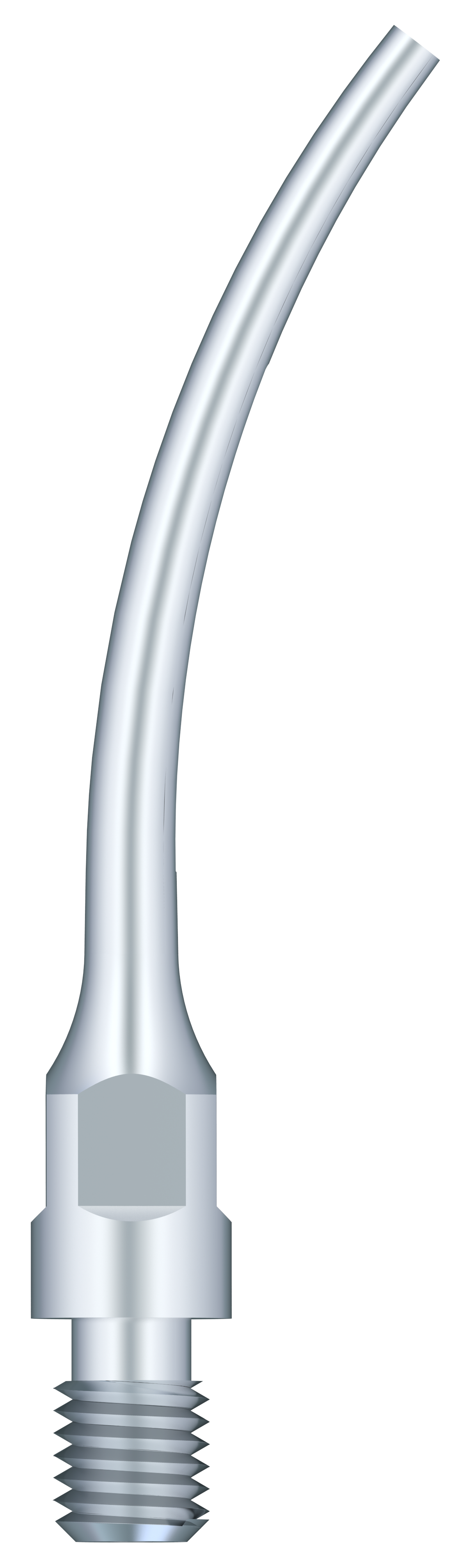 Supragingival Scaling GS8