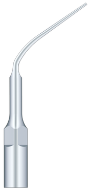 Periodental Scaling P3