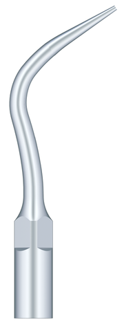 Periodental Scaling P4