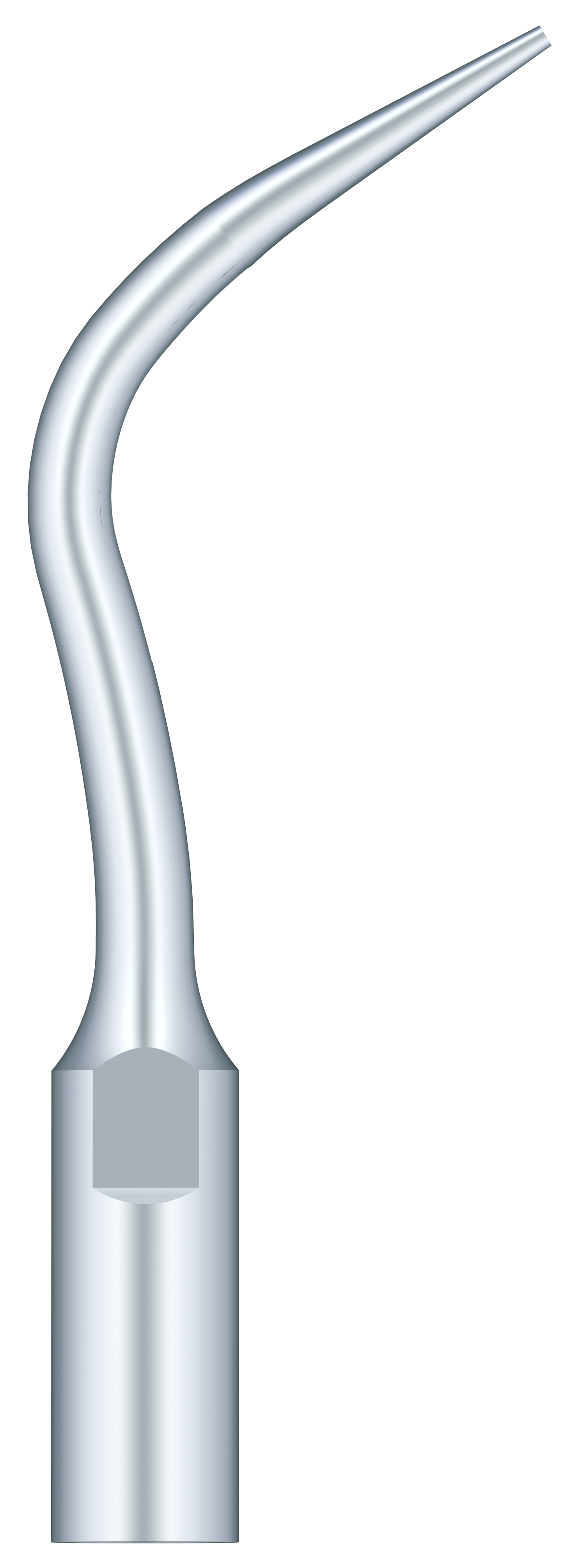 Woodpecker Periodental Scaling PD4