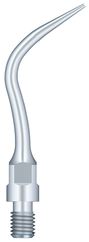 Periodontal Scaling PS4