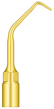 Soft Apical Root Debridement  UE2