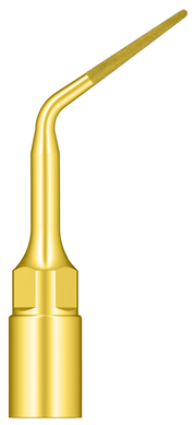 Root Surface Debridement & Root Planning UP4