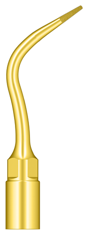 Bone Remodeling And Root Canal Enlargement UP7