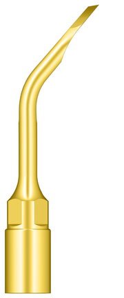 Bone Chip Harvesting Crown Lengthening US4